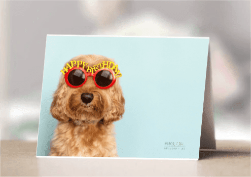 HB Dog with PCA Logo