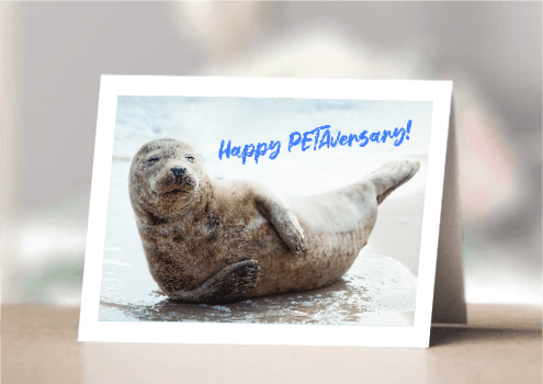 LEGACY APRIL PETAVERSARY