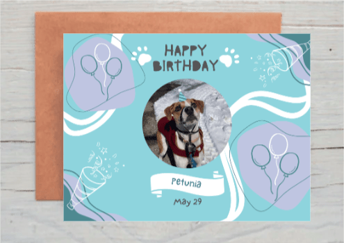 PETUNIA GRINDLE BDAY 2024