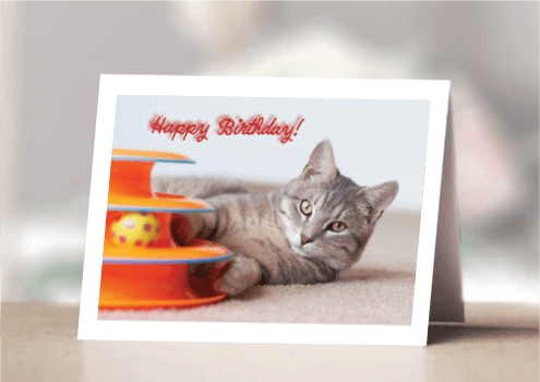 SUSTAINER BDAY MAY 24