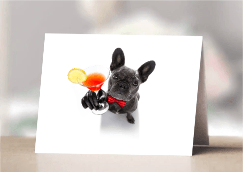 FRENCHIE WITH COCKTAIL