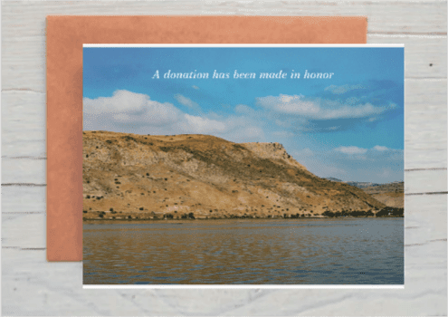 DF - In Honor