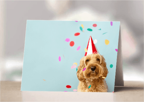 Dog Birthday Hat Folded
