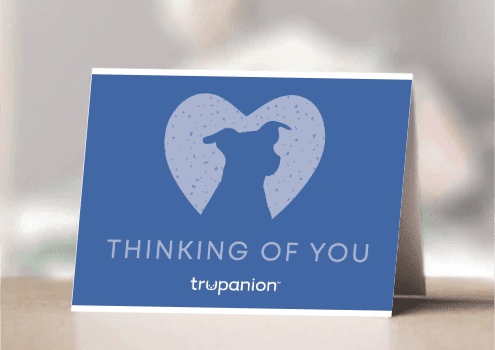 Thinking of you - Dog